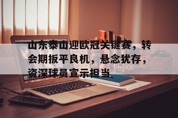 山东泰山迎欧冠关键赛，转会期扳平良机，悬念犹存，资深球员宣示担当的简单介绍
